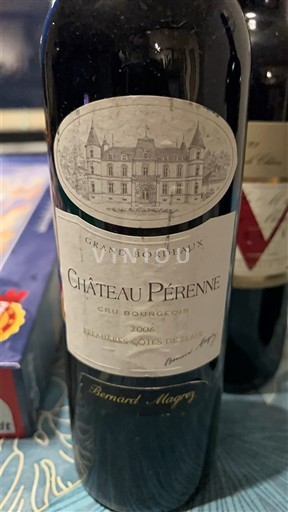 Bordeaux Blaye-côtes-de-bordeaux Cru Bourgeois Château Pérénne 2006