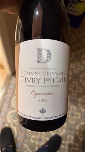 Bourgondië Niet gespecificeerd Premier Cru Domaine Svignes Ozymandias 2023