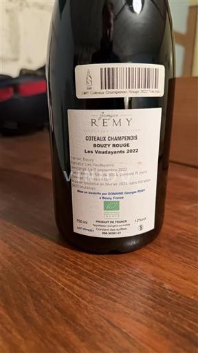 Champaña Coteaux champenois Domaine Rémy Les Vaudayants 2022