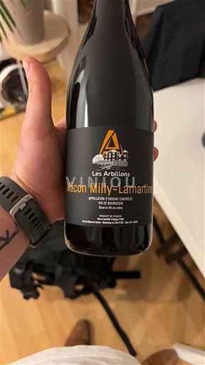 Burgundy Mâcon and Mâcon-Villages Les Arbillons 2023