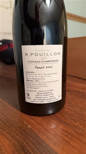Champagne Coteaux-champenois Domaine R. Pouillon Perpetuité 2021