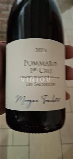 Burgundija Pommard Premier Cru Morgon Truchot Les Saussilles 2023
