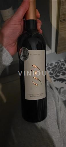 Rhône-dalen Côtes-du-Rhône Mas Isabelle 121 2021