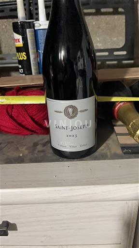 Weine Rouge sec Cave de Tain 2023 Frankreich Rhônetal Saint-Joseph AOC