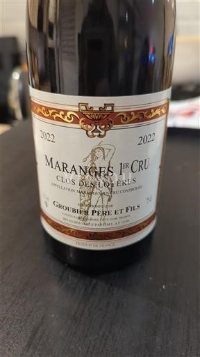 Bourgondië Niet gespecificeerd Premier Cru Groubier Père et Fils Clos des Loyères 2022