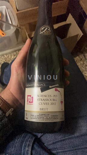 Alsazia Crémant d'Alsazia Château Pierre et Frédéric Becht Sciences Po Strasbourg Senza annata