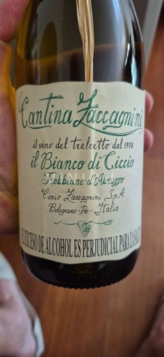 Abruzzerne Trebbiano d'Abruzzo Cantina Zaccagnini il Bianco di Ciccio 2022