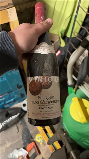 Burgundsko Nespecifikováno Domaine Guy Simon & Fils 2021