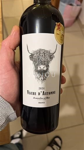 Südwestfrankreich Vache d'Automne 2024