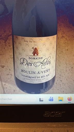 Beaujolais Moulin-à-vent Domaine S Ailes 2023