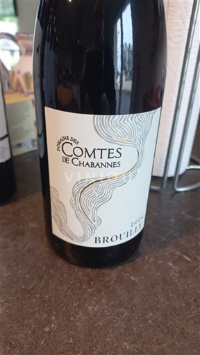 Beaujolais Brouilly Domaine S Comtes de Chabannes 2021