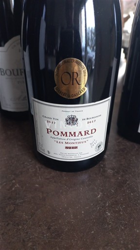 Burgundija Pommard Monts Luisants Les Montjots 2017