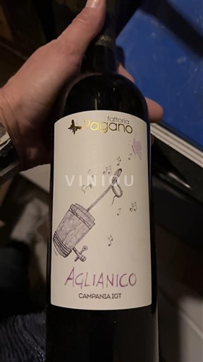 Campanie Campania Fattoria Pagano Aglianico igt 2024