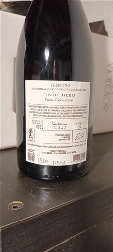 Wines of Trentino-Alto Adige Unspecified Cantina Sociale di Trento Vigna Cantanghel 2022
