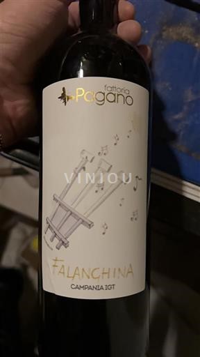 Campania No especificado Fattoria Pagano Falanghina 2024