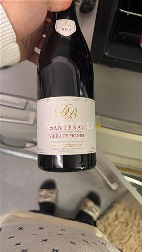 Burgundsko Santenay Domaine Borgeot Vieilles Vignes 2022