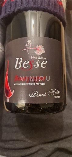 Burgundija Vins Julien Besse 2023