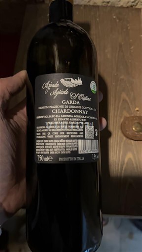 Lombardy Garda Azienda Agricola Il Filippo 2023