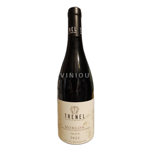 Beaujolais Morgon Trenel Côte du Py 2022