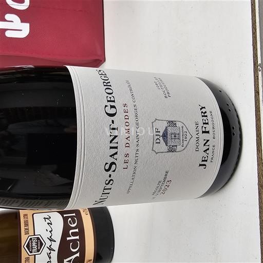 Borgogna Nuits-Saint-Georges Jean Féry Les Damodes 2023