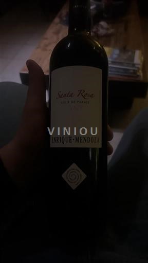 Murcia Alicante Enrique Mendoza Santa Rosa 2021