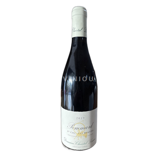 Bourgogne Ospecificerad Domaine Chantal Lescure Les Bertins 2019