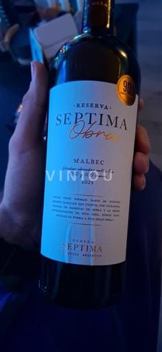 Mendoza Bodega Séptima Obra Reserva 2023