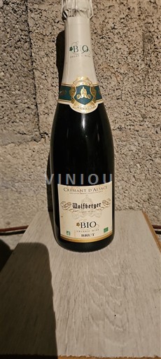 Alsazia Crémant d'Alsazia Wolfberger Bio Senza annata
