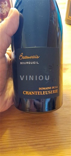 Loiretal Bourgueil Domaine La Chanteleuserie Beauvais 2020
