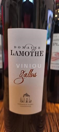 Tây Nam Gaillac Domaine Lamothe Gallus Không niên vụ