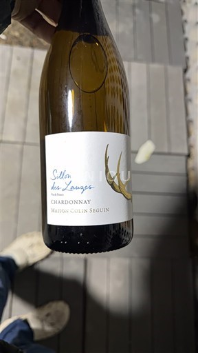 Bourgondië Bourgogne Maison Colin Seguin Sillon des Loups Niet-geïntegreerd