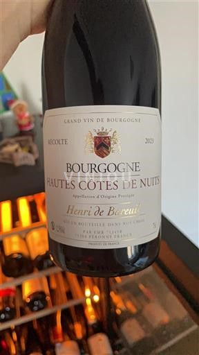 Burgundy Hautes Côtes de Nuits Henri de Bahezre 2023