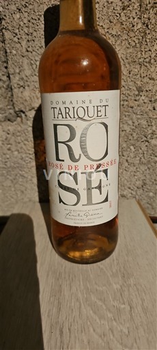 Jugozahod Côtes de Gascogne Domaine Tariquet Rosé de Pressée 2017