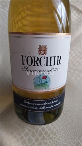 Friuli-Venecia Julia Venezia Giulia Forchir Sauvignon Italico 2017