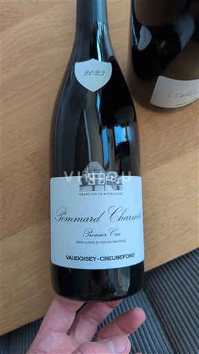 Borgoña Pommard Premier Cru Vaudoisey-Creusefond 2021