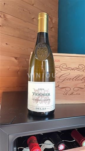 Rona dolina Ni doloceno Delas 2024