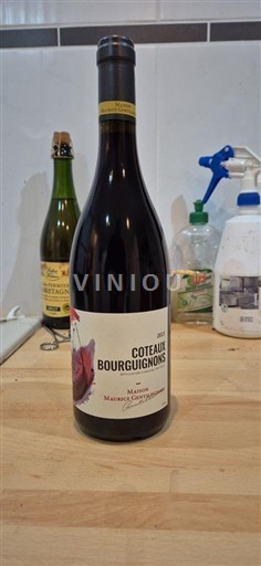 Burgund Burgunderhänge Maison Maurice Chastagner 2022