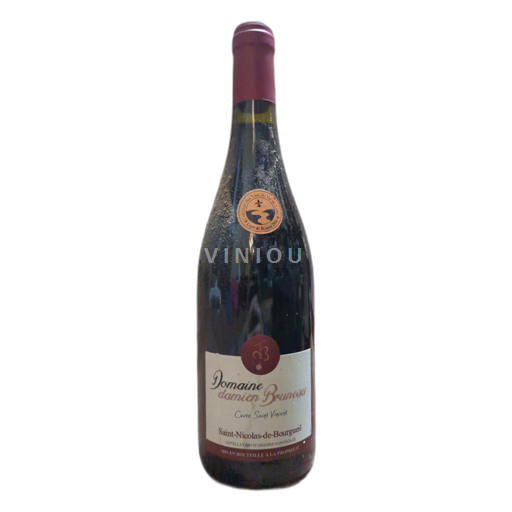 Valle della Loira Saint-Nicolas-De-Bourgueil Domaine Damien Bruneau 2015
