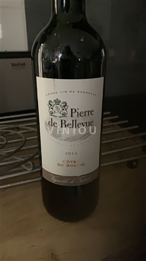 Bordeaux Côtes-de-bourg Pierre de Bellevue 2014