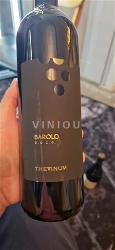 Piamonte Barolo Thevinum 2013