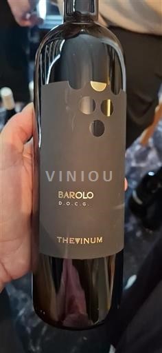 Piamonte Barolo Thevinum 2012