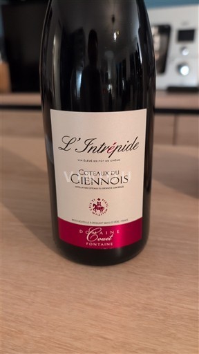 Valle della Loira Coteaux-du-giennois Domaine Couet Fontaine L'Intrépide 2023