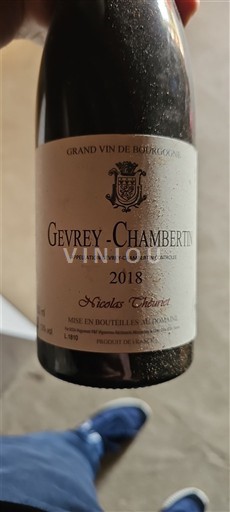 Burgund Gevrey-Chambertin Nicolas Thienpont 2018