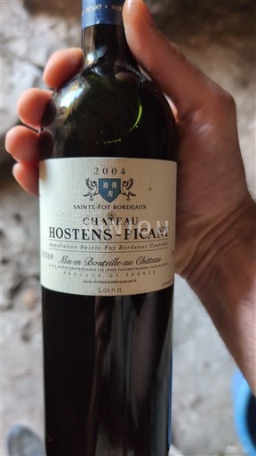 Burdeos Sainte-Foy-Burdeos Château Hostens-Picant 2004