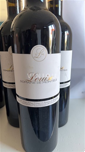 Tây Nam Côtes du Lot Domaine Montels Louis 2020