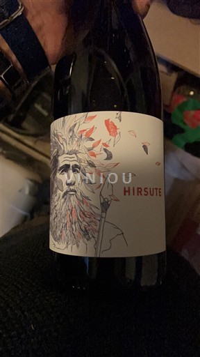 Valle del Loira Saumur Domaine Bobinet Hirsute 2022