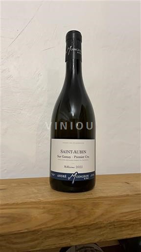 Bourgogne Saint-Aubin Premier Cru André Moingeon Sur Gamay - Premier Cru 2022