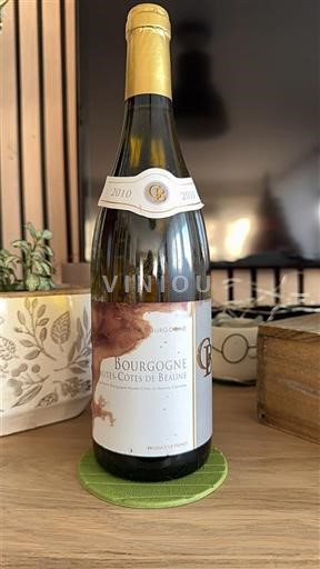 Burgundija Hautes Côtes de Beaune Berrange 2010