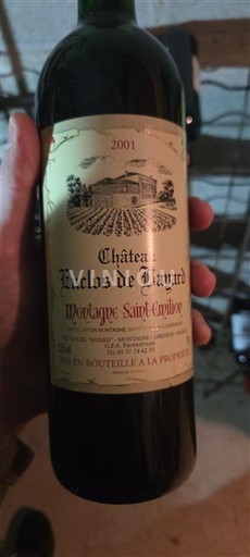 Bordeaux Montagne-saint-émilion Château Enclos de Bayard 2001