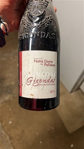 Rona dolina Gigondas Domaine Notre Dame des Pallières Les Moures 2011